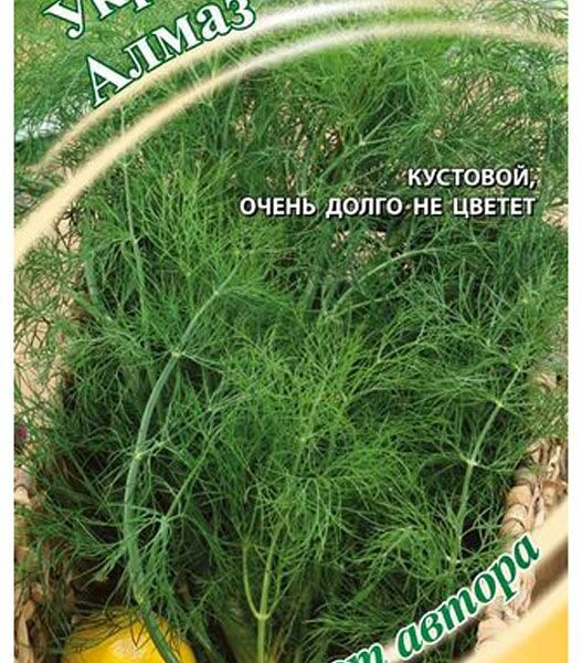 Укроп Алмаз Гавриш Семена от автора