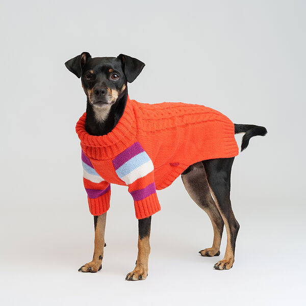 Свитер оранжевый XL Petmax