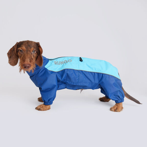 Дождевик для собак Rungo Такса карликовая, мальчик, голубой неон