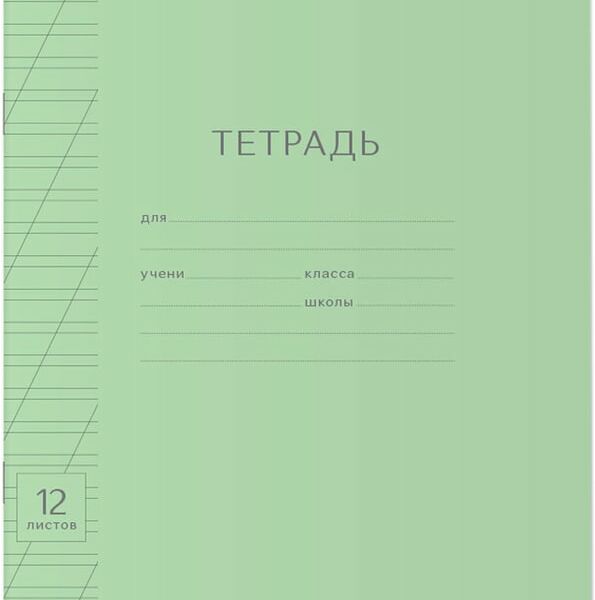 Набор тетрадей ErichKrause Классика Visio зеленая косая линейка 12л 10шт