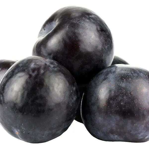 Слива круглая