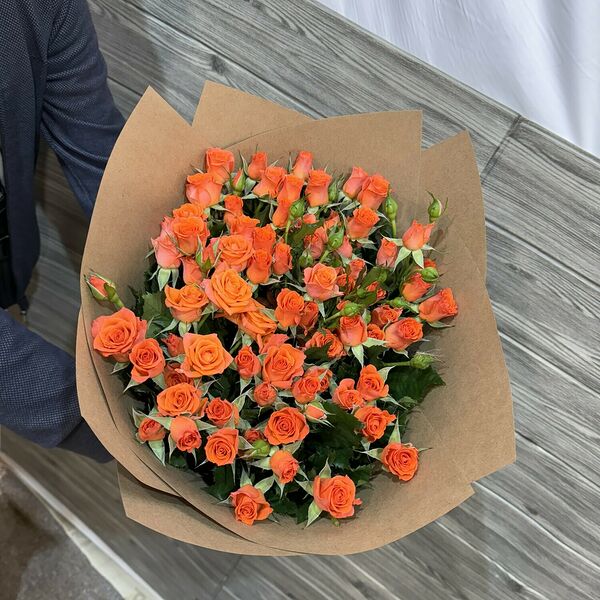 Роза кустовая