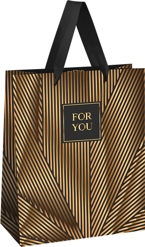 Пакет подарочный Meshu Strict lines, фольга, матовая ламинация, 18х23х10 см, Арт. 371113 1 шт. в ассортименте