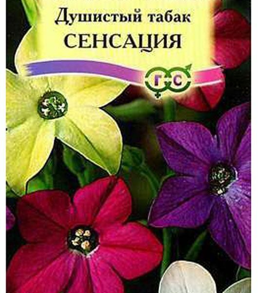 Семена Табак Сенсация ТМ Гавриш