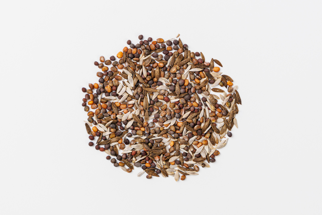 

Смесь семян АгроСидсТрейд Салатные овощи Фитнес, 1 г