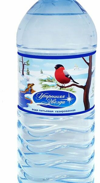 Вода питьевая газированная Утренняя звезда