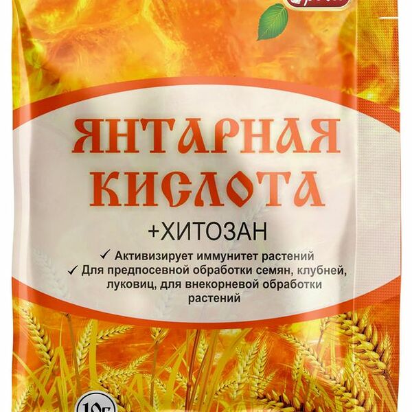 Янтарная кислота Ортон с хитозаном