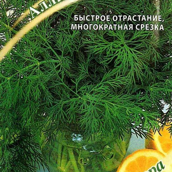 Семена Укроп Гавриш Аллигатор