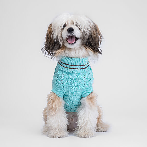 Свитер для собак Petmax, 2XL, голубой