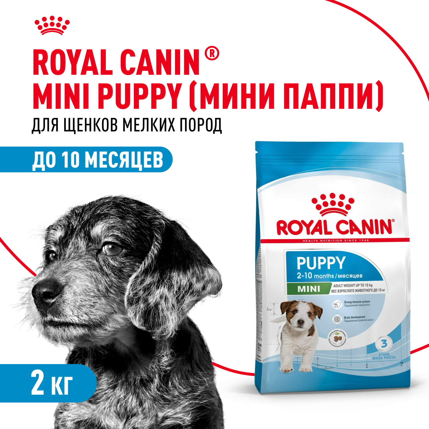 

Корм сухой для щенков мелких пород в возрасте до 10 месяцев Royal Canin Mini Puppy 2 кг