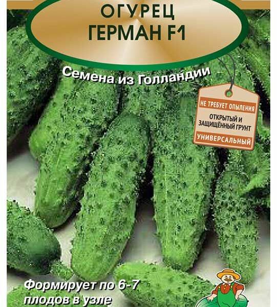 Огурец Герман F1 (Ф1) ТМ Поиск агрохолдинг