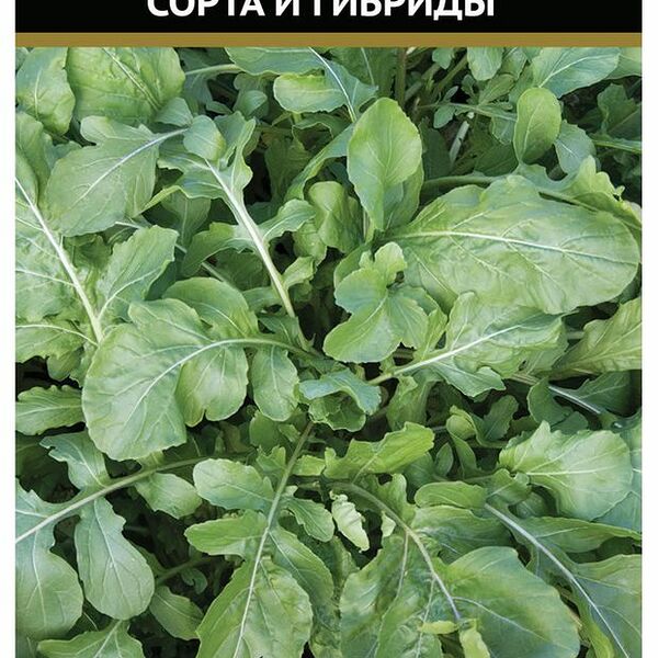 Семена Огурец Фауст F1 ТМ Агрохолдинг Поиск