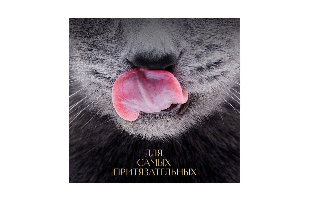 

Влажный корм для кошек Sheba Ломтики в желе с курицей 75 г