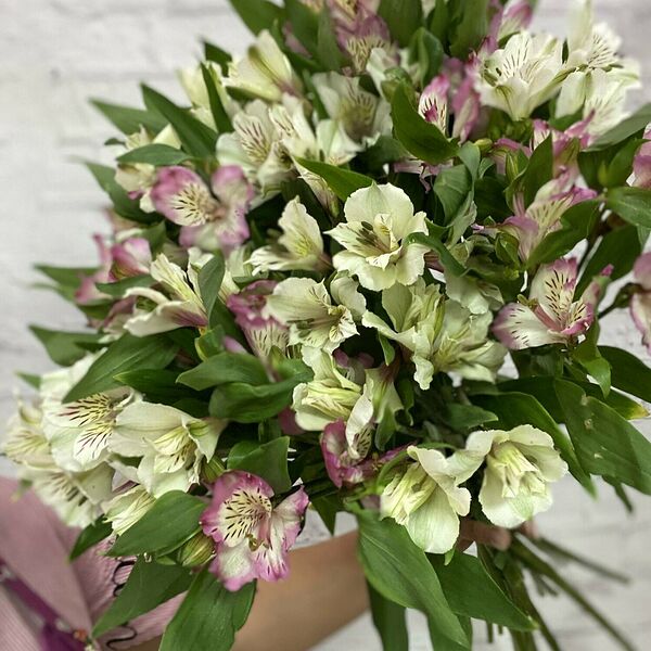 Букет Альстромерий