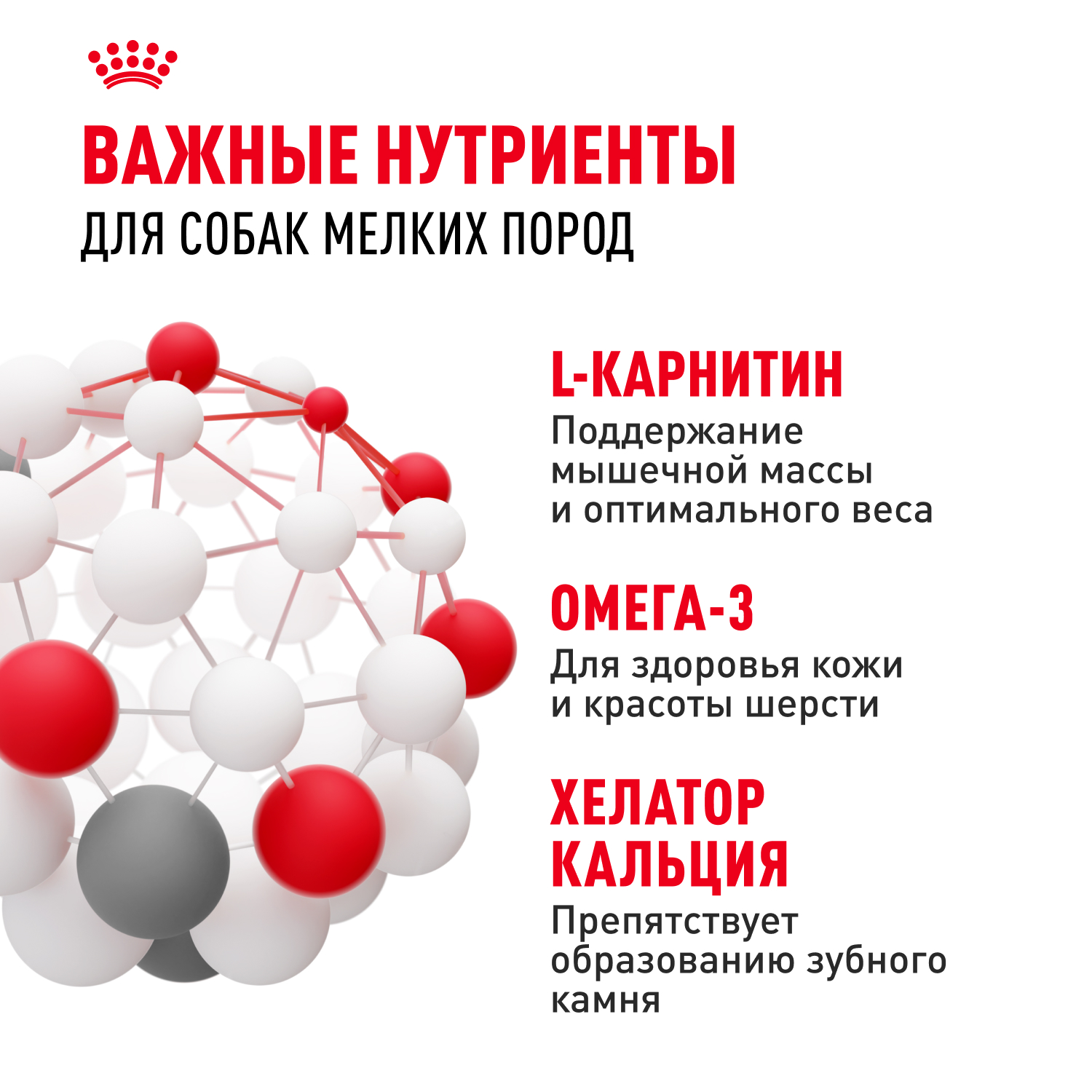 

Корм сухой Royal Canin Mini Adult для взрослых собак мелких размеров от 10 месяцев 2 кг