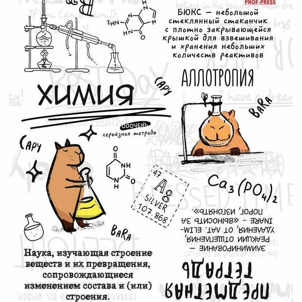 Тетрадь предметная Prof-Press Капибара Химия в клетку А5 48 л