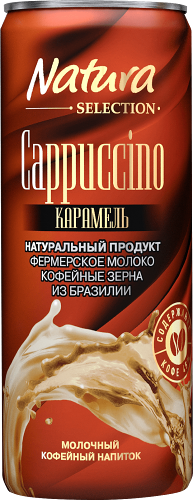 Напиток молочно-кофейный Natura Selection Cappuccino карамель стерилизованный 2,4% 220 мл, Россия