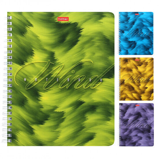 Тетрадь клетка Ветер Hatber 80 л А5, в ассортименте