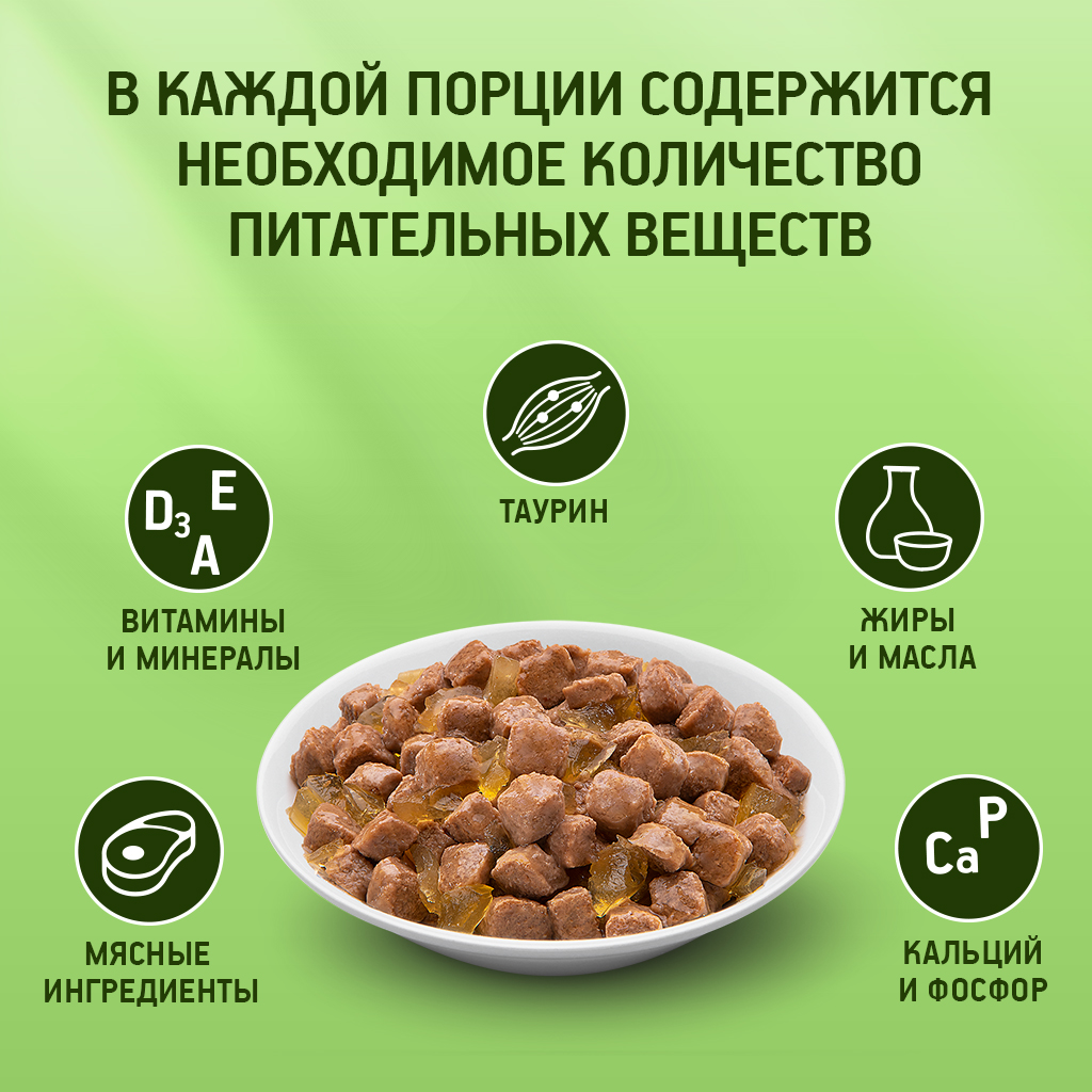 

Влажный корм для кошек Kitekat со вкусом курицы в желе Аппетитная курочка 85 г