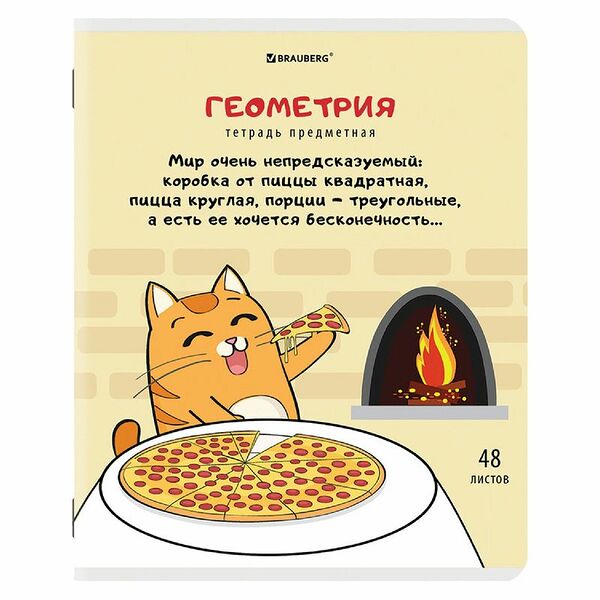 Тетрадь Brauberg Кот-Энтузиаст Геометрия предметная клетка 48л, 115г