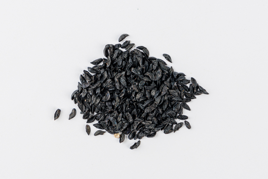 

Семена Поиск Лук шнитт Мудрец 1 г