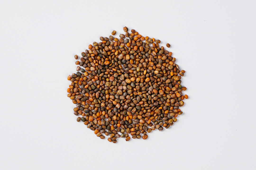 

Салат Рукола Полиглот Детская грядка 1 г