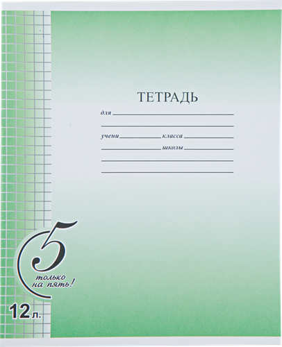 

Тетрадь ACTION! Только на пять! А5 12л клетка