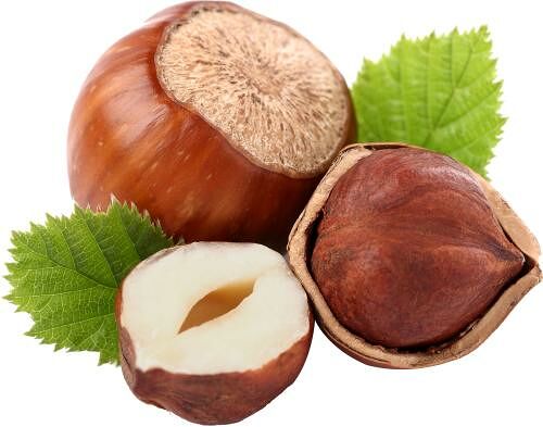 Фундук в скорлупе