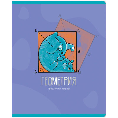 Тетрадь предметная Meshu Геометрия, 48 л