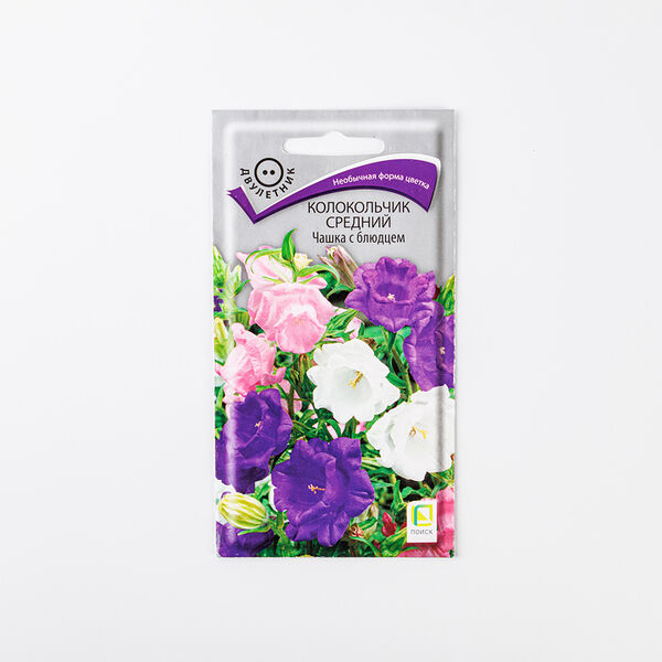 Семена Поиск колокольчик Чашка с блюдцем 2 г