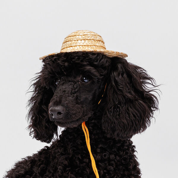 Шляпка соломенная S 13см