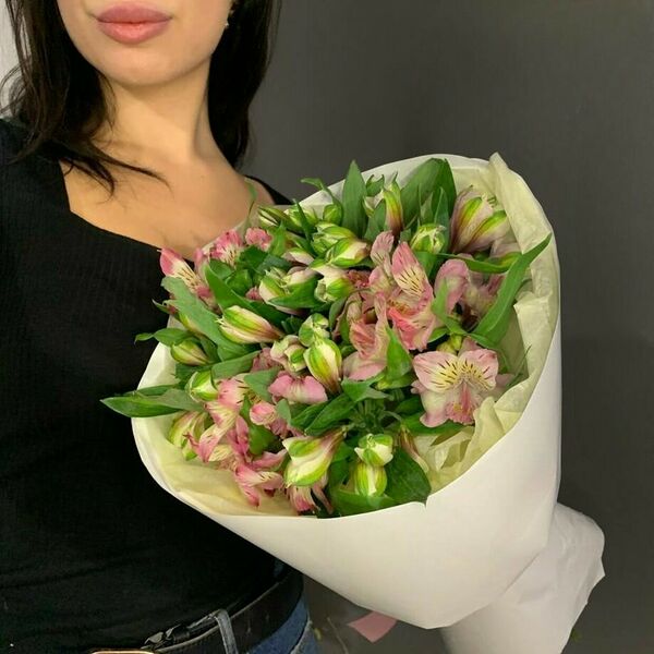 Нежная альстромерия