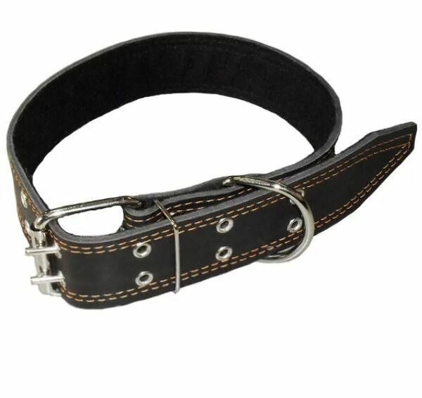 ЗООТЕХНОЛОГИЯ Ошейник для собак 45 простой