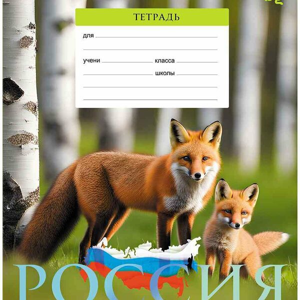 Тетрадь А5 в клетку BG Патриотизм. Родина, дизайн в ассортименте, 18 листов