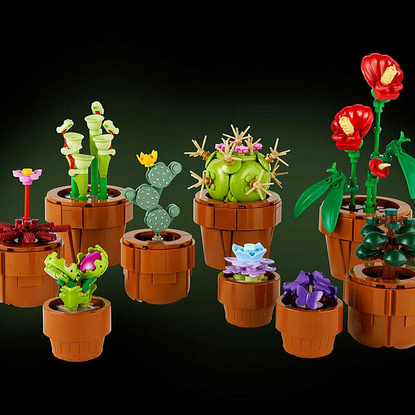 Конструктор LEGO Icons 10329 Конструктор Миниатюрные растения