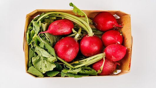 Редис молодой пучок