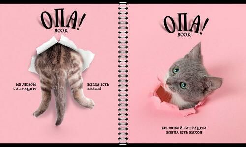 Тетрадь Перевертыш 96л в ассортименте 1шт