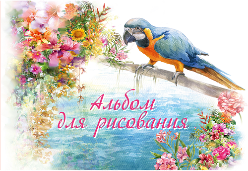 Альбом для рисования Academy Style на скрепках А4, 24 л, в ассортименте