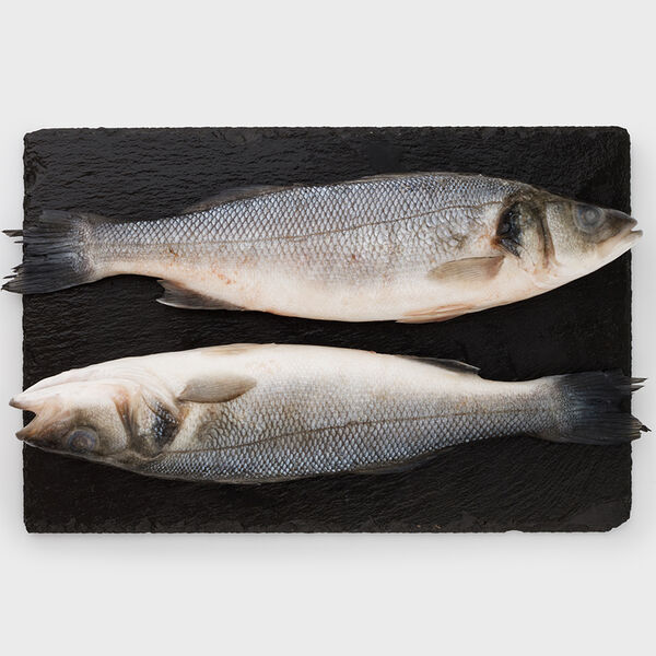 Сибас неразделанный 300/400 замороженный