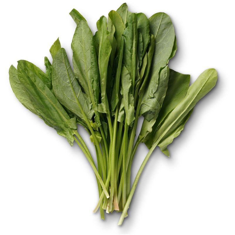 

Щавель свежий Маркет Fresh 250 г