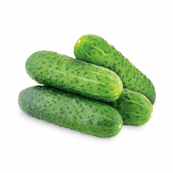 Огурцы короткоплодные, вес