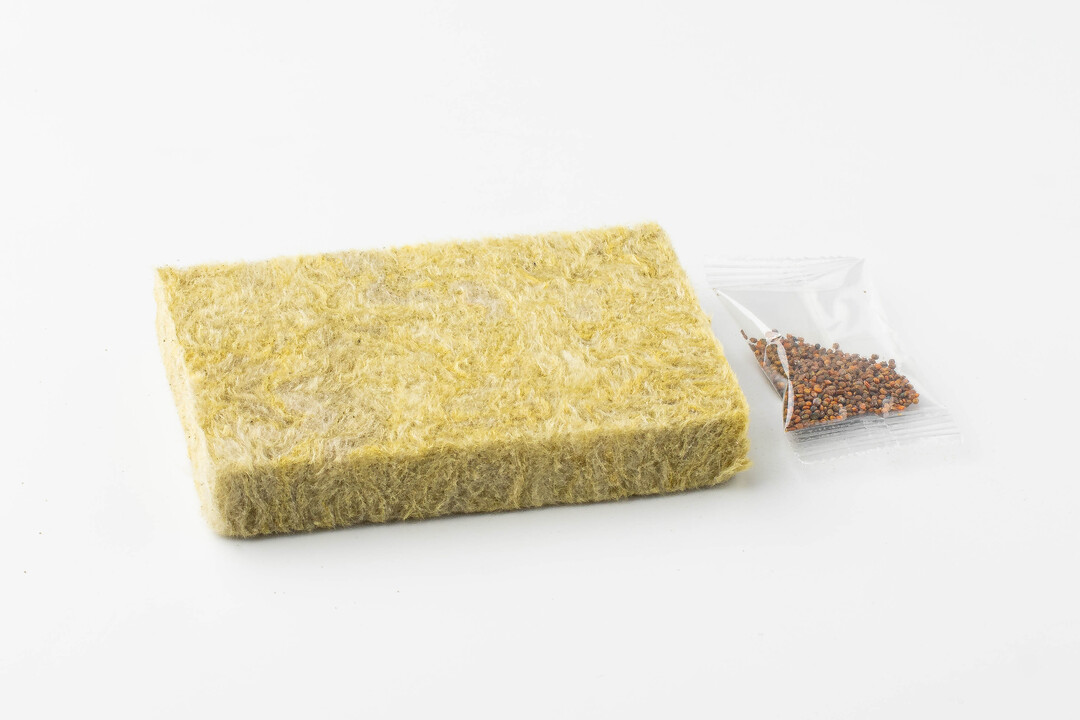 

Набор для проращивания микрозелени Руколы, 100г