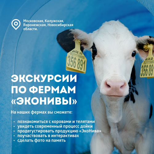 

Молоко ЭкоНива ультрапастеризованное 3.2% 1 л