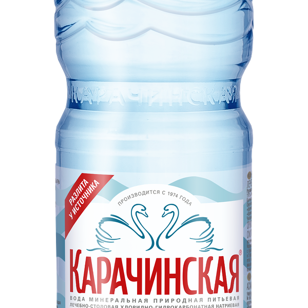 Минеральная вода Карачинская лечебно-столовая газированная 0.5 л