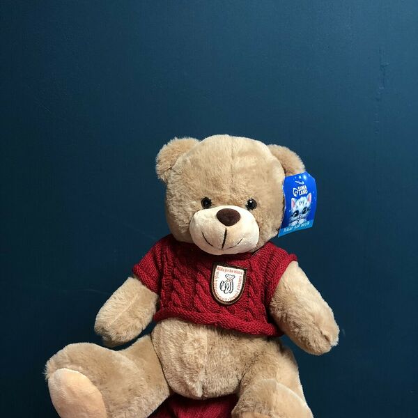 Плюшевый медведь