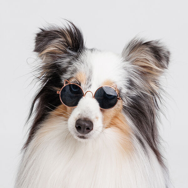 Очки солнечные с ушками для кошек и собак