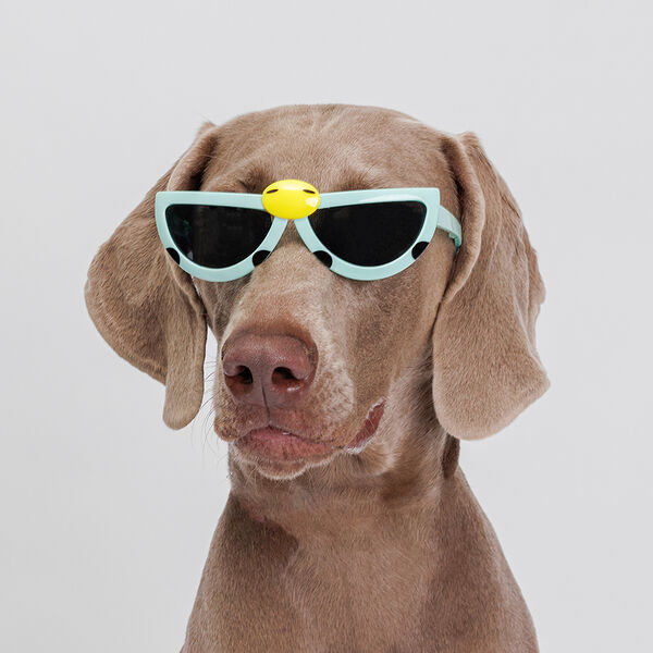 Очки Rurri синие раскладные