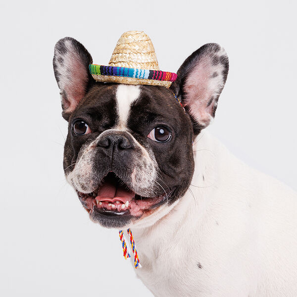 Шляпка соломенная 10см с цветными шнурками