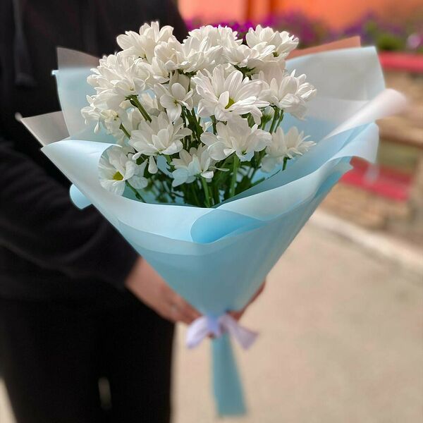 Белая хризантема, букет комплимент