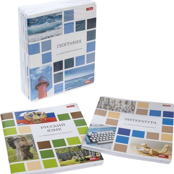 Комплект тетрадей Hatber Цветная мозаика предметные 48л 10шт